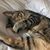 Therese Stanley's profile image
