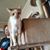 Carolyn Markey's profile image