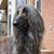 Stephanie Fletcher's profile image