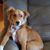 Julie Schweim Wallace's profile image