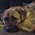Christine Marceau's profile image