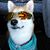 Mike Schroeder's profile image