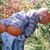 Bonnie Giles's profile image