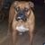 Kathy Eide's profile image