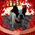 Lynn Mohan's profile image