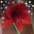 Pat Tjader Sandstrom's profile image
