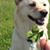 Tomo Nakashima's profile image