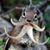 Kelly Ann Anderson's profile image