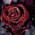 Mithila Rahman's profile image