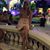 Nadia Aiolfi's profile image