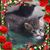 Lynn Moomin's profile image