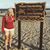 Rachel Wilbur-Carlyle's profile image
