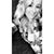 Laina Wardrip's profile image