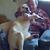DavidHilda Johnson's profile image