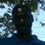 Bobby Williams's profile image