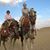 Marsha Robbins's profile image
