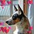 Rema Renee Behrens's profile image