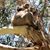 Dorein Rivers's profile image
