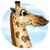 Karla Lyles Lighthart's profile image