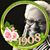 Melodye Jacobs's profile image