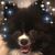 Maria Migliozzi-Haight's profile image