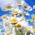 Pat Tyler Wicker's profile image