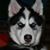 Mishka LeBear's profile image