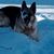 Susan Matusek's profile image