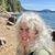 Allyson Brooks's profile image