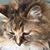 Tammy Buck's profile image