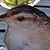 Mis ter Wren's profile image