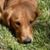 Sandra Nelson's profile image