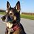 Mary Helen Caracoza's profile image