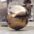 Paul DeFilippo's profile image