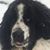 Andy Kelly's profile image
