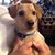 Donette Ruffin's profile image