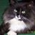 Sue Bova's profile image