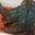 Cheryl Fugate's profile image