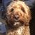 Kate McCall Koob's profile image