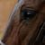 Daniella Terry's profile image
