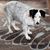 Terry White's profile image