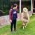 Lingzi Hong's profile image