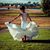 Chelsea Greeott-Finn's profile image