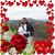 Catherine Argao's profile image
