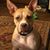 Lou Ann Haines's profile image
