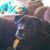 Bre Carlson's profile image