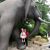Leanne E. DeLand's profile image