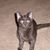 Barbara Ann Mueller Holland's profile image