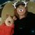 Danielle Culverson's profile image