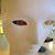 Jennifer Annunziata's profile image